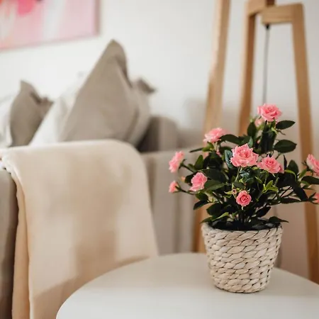 White - Free Parking * Liubliana