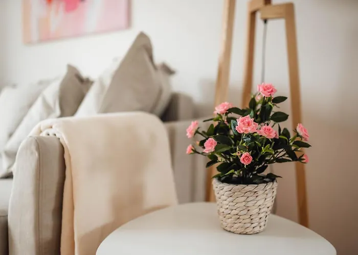 White - Free Parking * Ljubljana